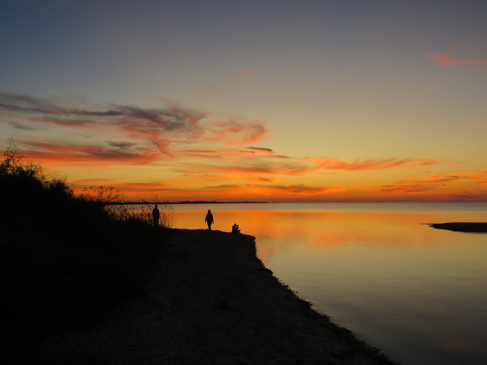 Explore the Coastal Walking Trails of the Texas Coast